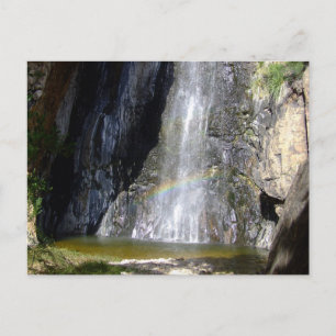 Postal Escena del desierto de Chihuahuan 03