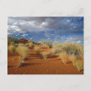Postal Escena del desierto de Kalahari, frontera de Kgala