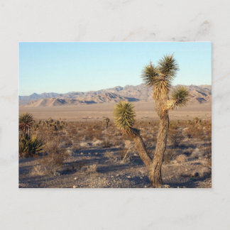 Postal Escena del desierto de Mojave 01