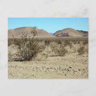 Postal Escena del desierto de Mojave 02
