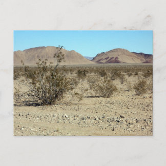 Postal Escena del desierto de Mojave 02