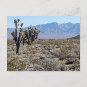Postal Escena del desierto de Mojave 03
