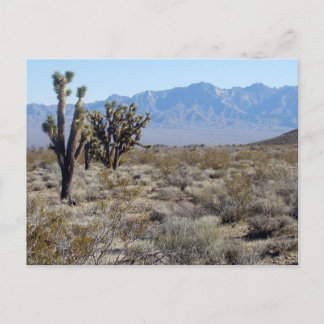 Postal Escena del desierto de Mojave 03