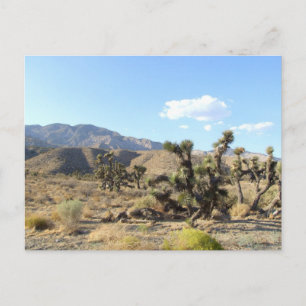 Postal Escena del desierto de Mojave 04
