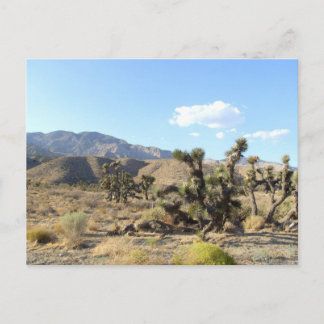 Postal Escena del desierto de Mojave 04