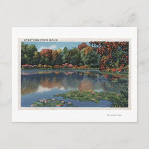 Postal Escena del lago Idaho con Lily PadsIdaho