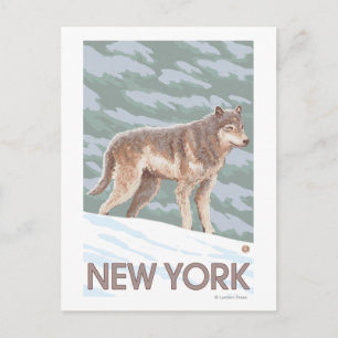 Postal Escena del lobo de Nueva York