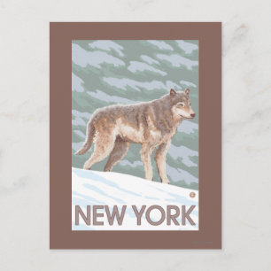 Postal Escena del lobo de Nueva York