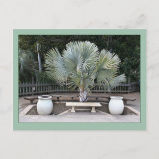 Postal Escena del Parque Balboa reminiscente de Maxfield