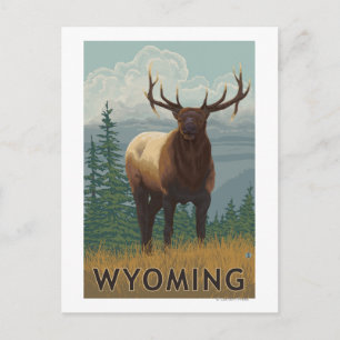 Postal Escena Elk Wyoming