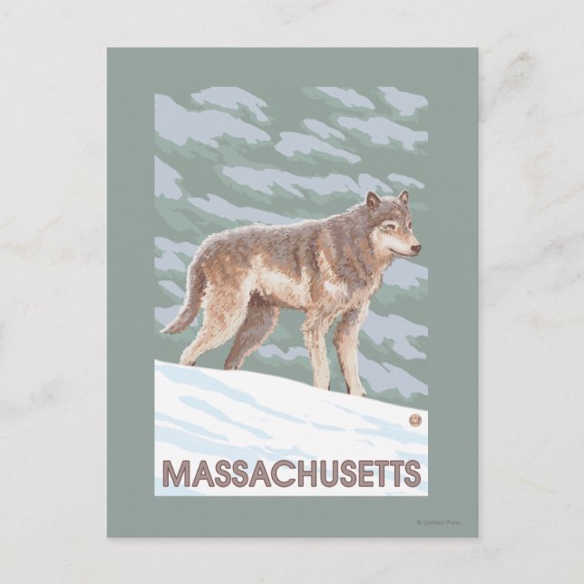 Postal Escena en lobo de Massachusetts (Anverso)