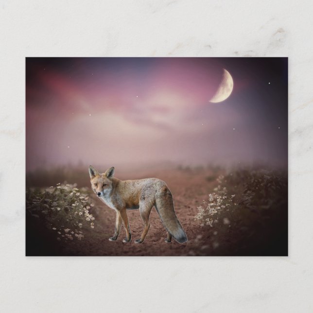 Postal Escena Fox de Dream Moonlight (Anverso)