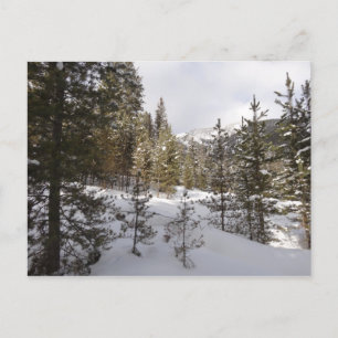 Postal Escena invernal de montaña nevada en Montana