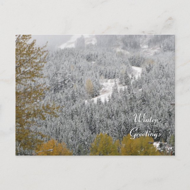Postal Escena invernal en Whistler, B.C. (Anverso)