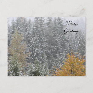 Postal Escena invernal en Whistler, B.C.