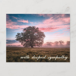 Postal Escena natural pacífica árbol atardecer amanecer s