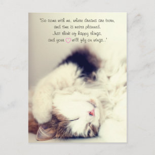 Postal Escena romántica del gato dormido cita de J.M. Bar