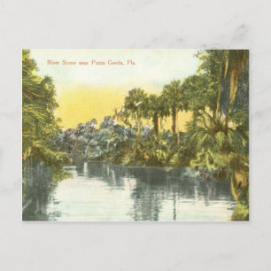 Postal Escena vintage del río Peace, Punta Gorda Florida