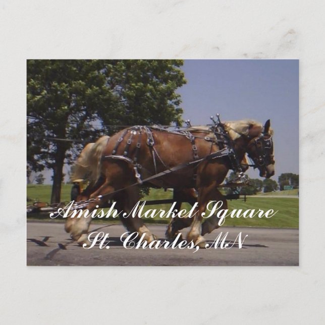 Postal Escenario (Anverso)