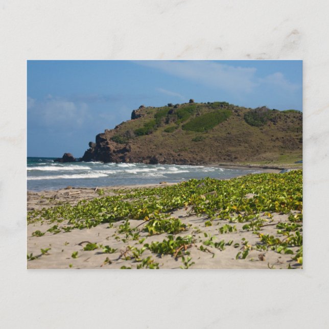 Postal Escenario caribeño de playa desierta (Anverso)