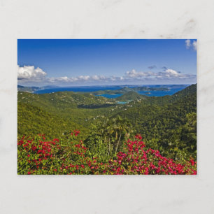 Postal Escenario de Cruse Bay, Virgen de St. John