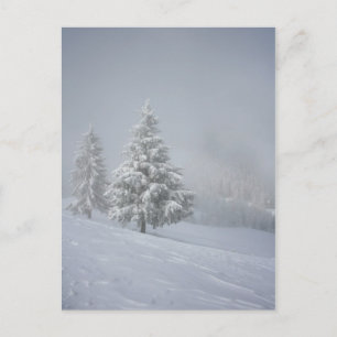 Postal Escenario de invierno