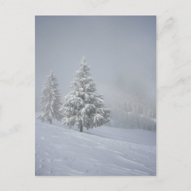 Postal Escenario de invierno (Anverso)