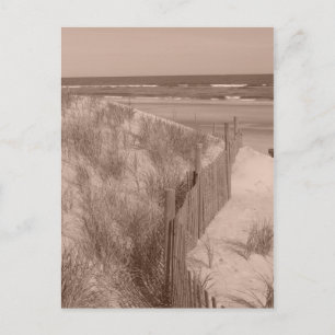 Postal Escenario de la playa de Sepia