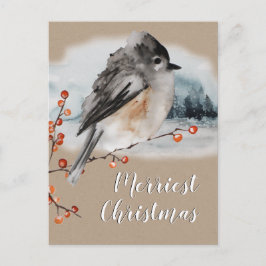 Postal Escenario de la rama de bosques de Winter Sparrow 