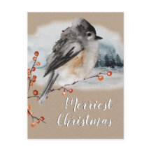 Escenario de la rama de bosques de Winter Sparrow