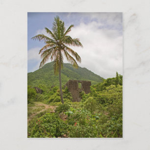 Postal Escenario de palmeras en la isla de las ruinas de 