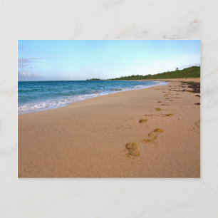 Postal Escenario de playa tropical