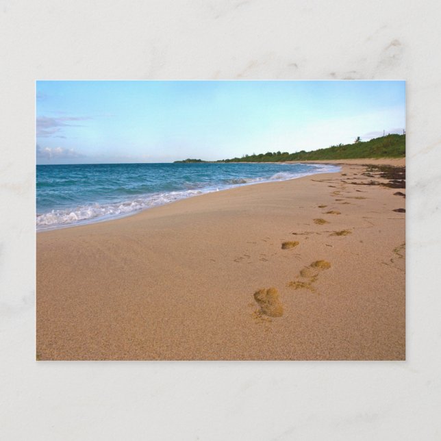 Postal Escenario de playa tropical (Anverso)