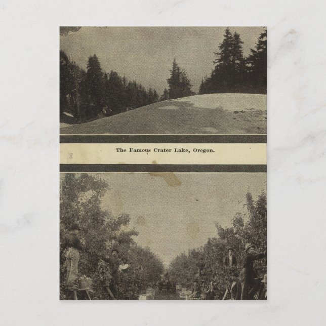 Postal Escenario del Crater Lake Oregon Orchard (Anverso)