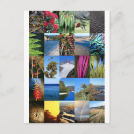 Postal Escenarios naturales de Kiwiana, Nueva Zelanda