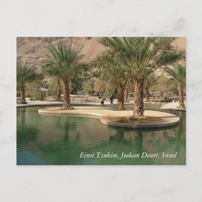 Postal Escenas de tierras sagradas e imágenes de Israel (Anverso)