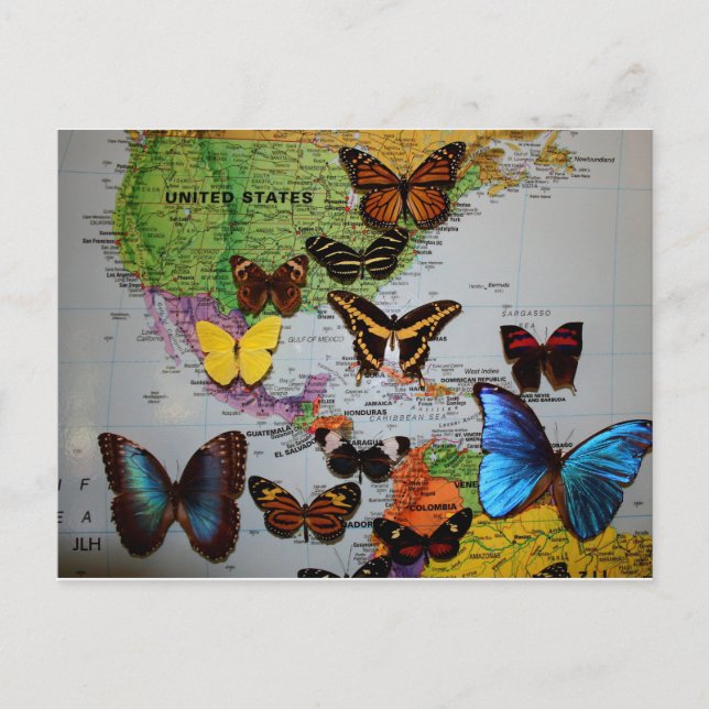 Postal Escenas migratorias, JLH (Anverso)