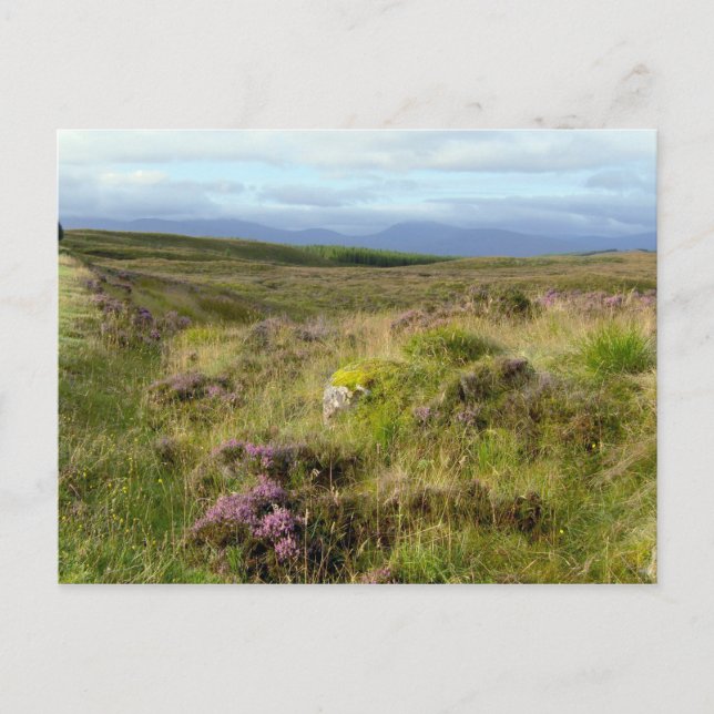 Postal Escocia (Anverso)