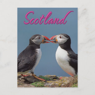 Postal Escocia