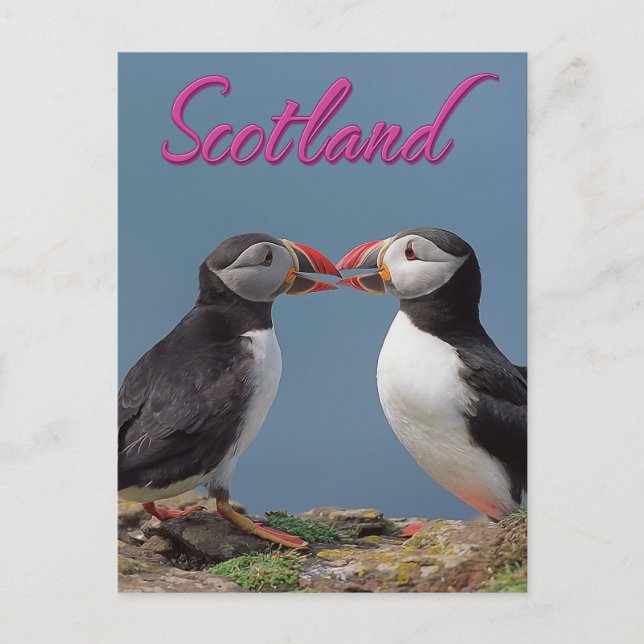 Postal Escocia (Anverso)