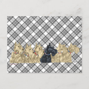 Postal Escocia en fila