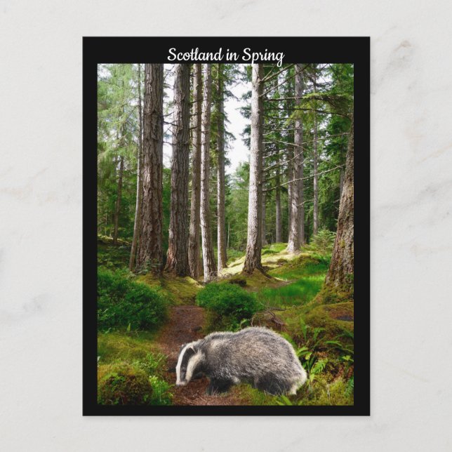Postal Escocia en primavera (Anverso)