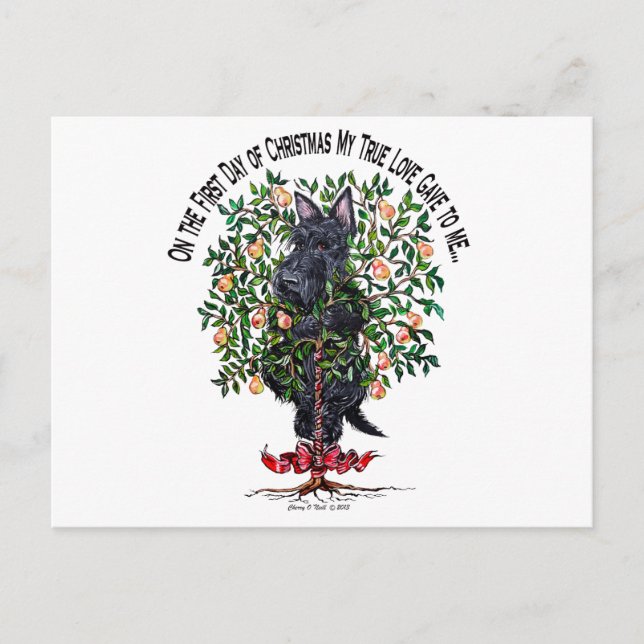 Postal Escocia en un árbol perezoso (Anverso)