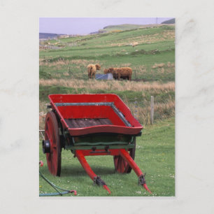 Postal Escocia, Isla de Skye, Kilmuir. Animales de granja