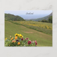 Escocia, tierras altas, océano, flores, fotografía