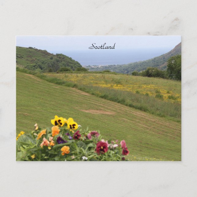 Postal Escocia, tierras altas, océano, flores, fotografía (Anverso)