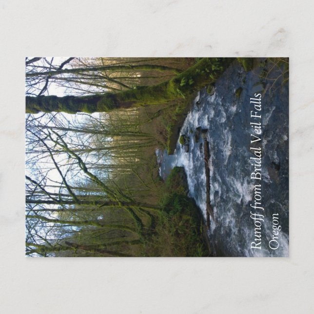 Postal Escorrentía de Bridal Veil Falls, OR (Anverso)