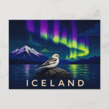 Escribano Nival Bajo la Aurora | Islandia Icónica