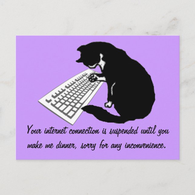 Postal Escribir gato (Anverso)