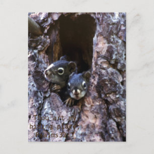 Postal Escritura de la Biblia